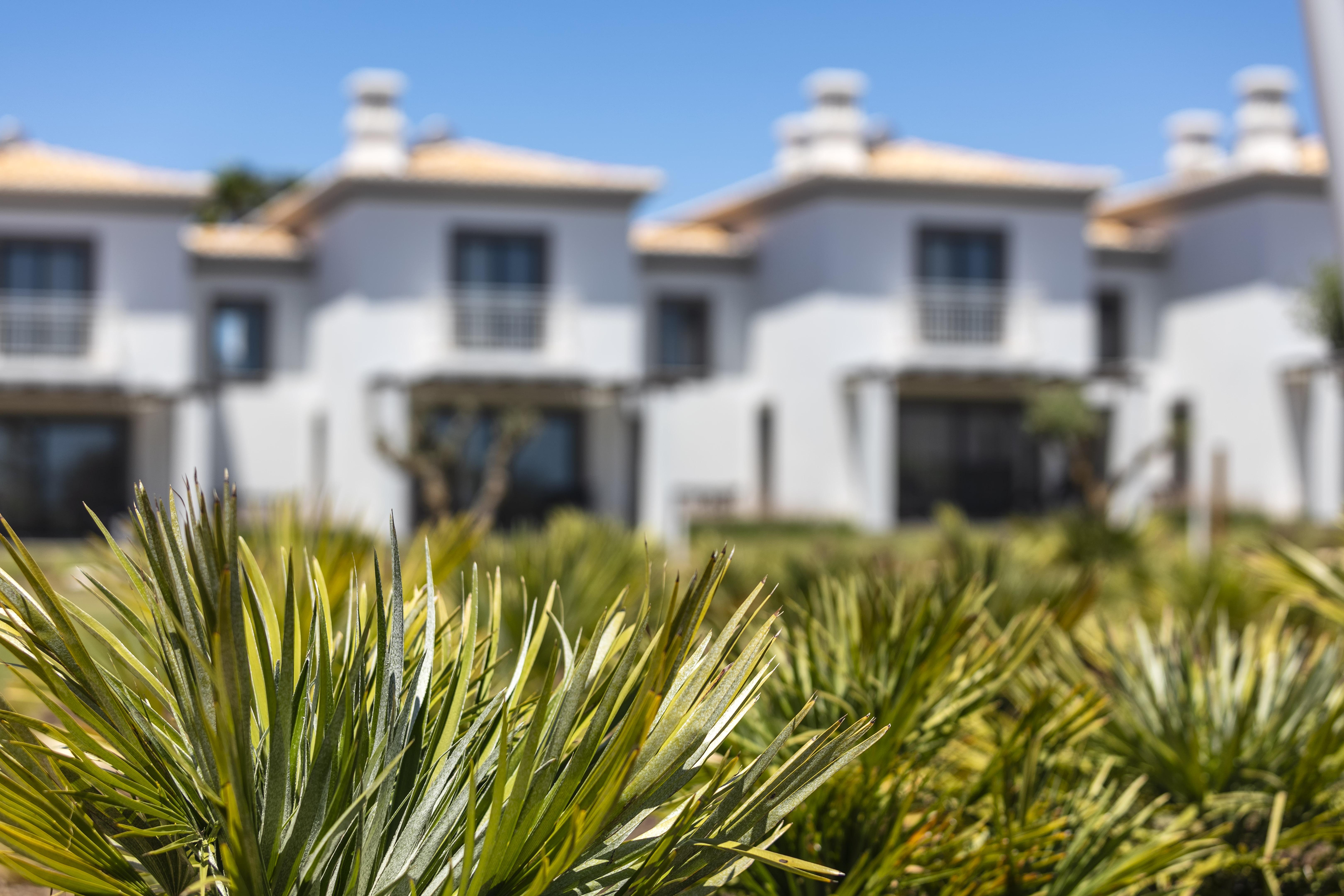 Quinta Do Algarvio Village Carvoeiro  Exterior foto